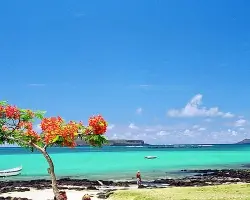 Mauritius beach scene