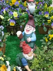 garden gnome